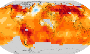 Världskarta som visar trender över hur jordens medeltemperatur varierar.